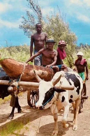 Постер: Coups de hache pour une pirogue
