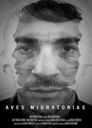 Постер: Migratory Birds