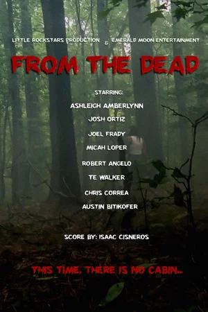 Постер: From the Dead