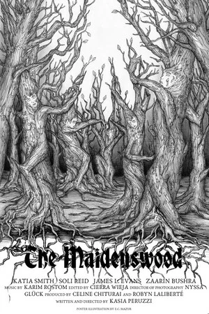Постер: The Maidenswood