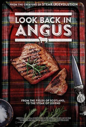Постер: Look Back In Angus