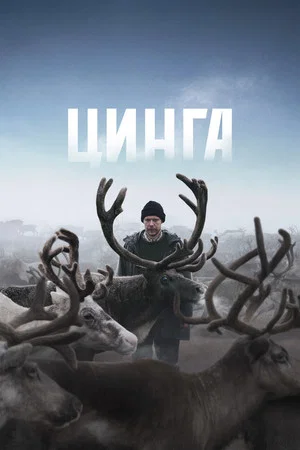 Постер: Цинга