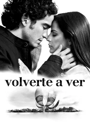 Постер: Volverte a ver