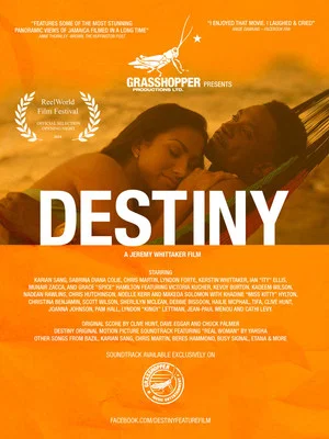 Постер: Destiny