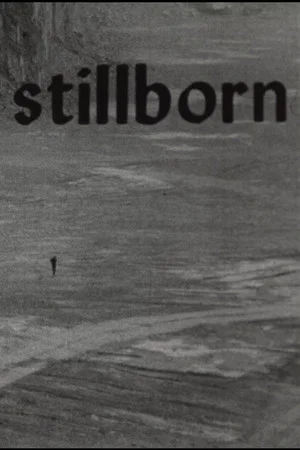 Постер: Stillborn