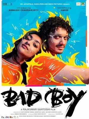 Постер: Bad Boy