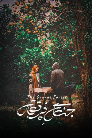 Постер: The Orange Forest