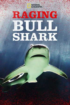 Постер: Raging Bull Shark