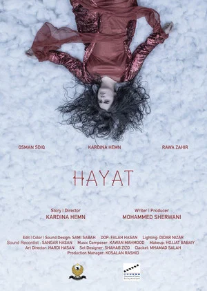 Постер: Hayat