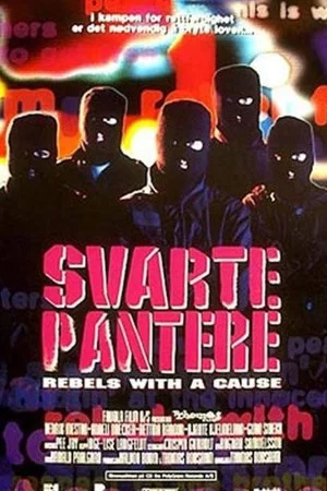 Постер: Svarte pantere
