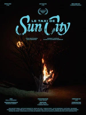 Постер: Le taxi de Sun City