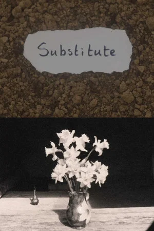 Постер: Substitute