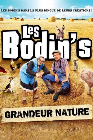 Постер: Les Bodin's : Grandeur Nature (@Zenith de Limoges)