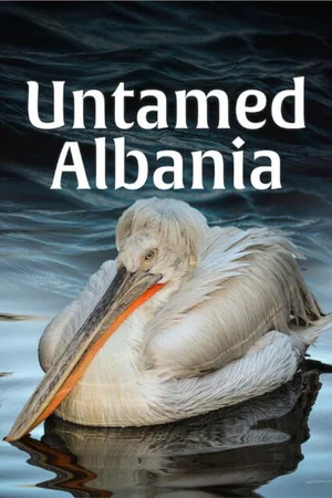 Постер: Untamed Albania