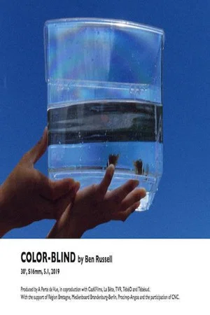 Постер: Color-Blind