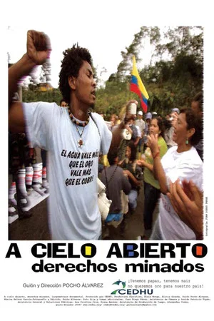 Постер: A cielo abierto, derechos minados