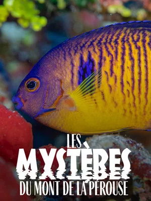 Постер: The mysteries of Mont La Pérouse