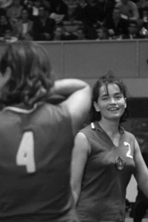 Постер: Volleyball