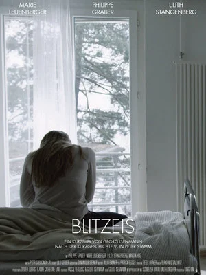 Постер: Blitzeis