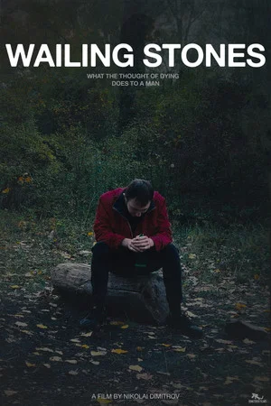 Постер: Wailing Stones