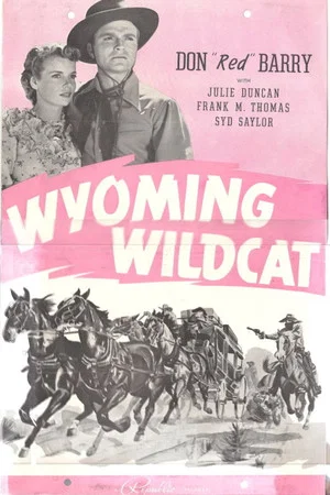 Постер: Wyoming Wildcat