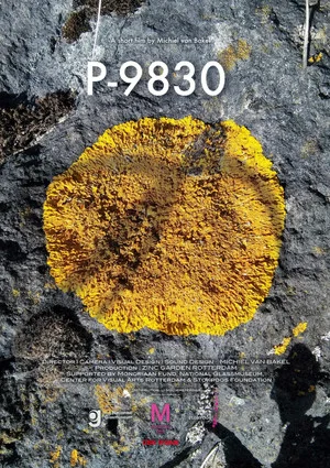 Постер: P-9830