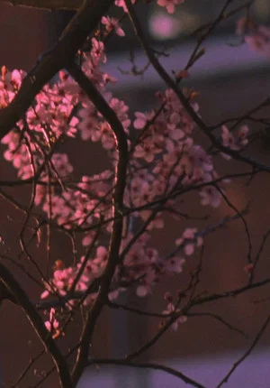 Постер: Spring Songs