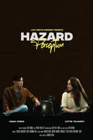 Постер: Hazard Perception