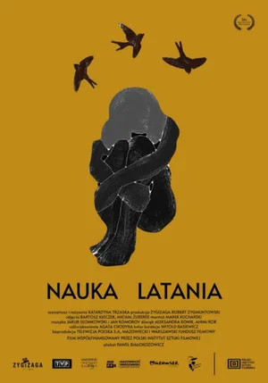Постер: Learning to Fly