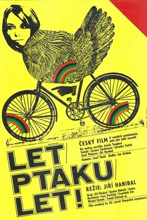 Постер: Leť, ptáku leť!