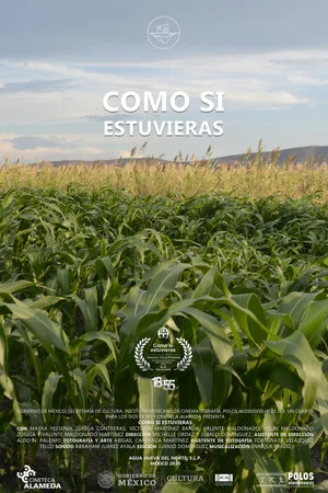 Постер: Como Si Estuvieras