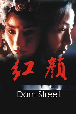 Постер: Dam Street