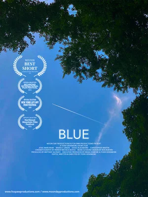 Постер: Blue