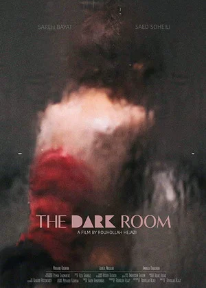 Постер: The Dark Room
