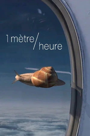 Постер: 1 meter/hour