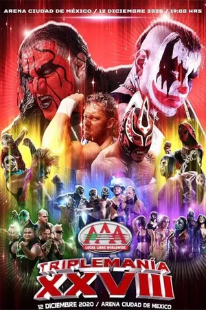 Постер: AAA Triplemania XXVIII