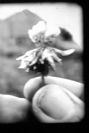 Постер: Traces