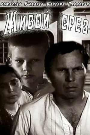 Постер: Живой срез
