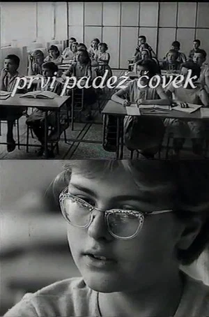 Постер: First Grammatical Case: Human