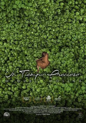 Постер: Un tiempo precioso