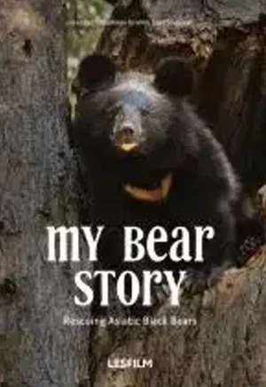 Постер: My Bear Story
