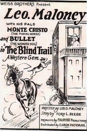 Постер: The Blind Trail