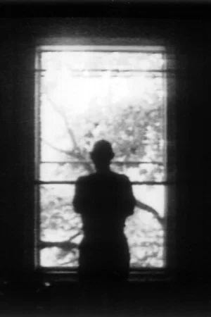 Постер: Window
