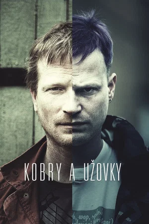 Постер: Кобры и ужи