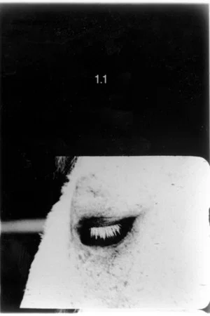 Постер: Pocket Cinema - The Catalogue