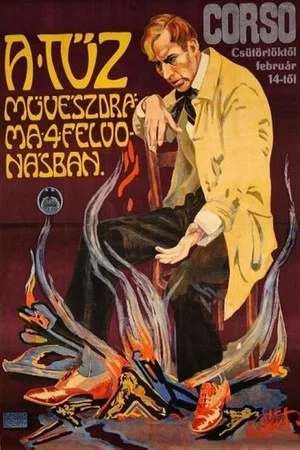 Постер: The Fire