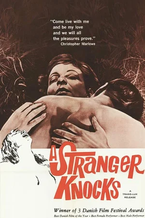 Постер: A Stranger Knocks