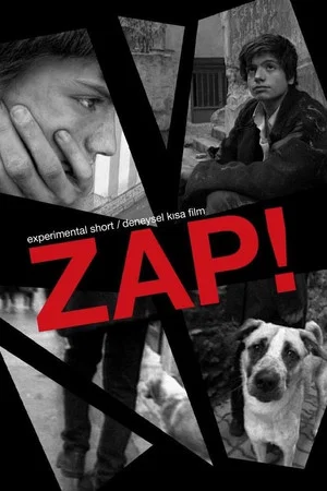 Постер: Zap!