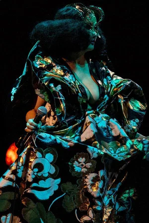 Постер: Björk Orkestral IV