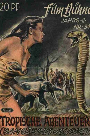 Постер: Dangerous Journey